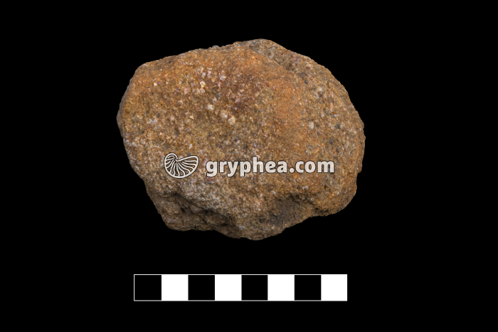 Grès (Emosson, Suisse) - échantillon - gryphea.org